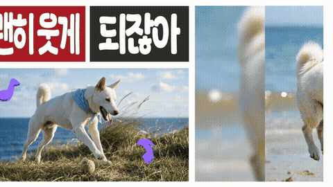 넌 나의 하루야 · 실제 성장영상의 움직이는 장면