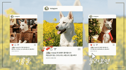 실제 성장영상 일부를 반복 재생하는 GIF 미리보기