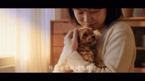 처음 만난 반려견을 안고 있는 보호자 · 실제 샘플 GIF